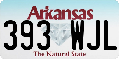 AR license plate 393WJL