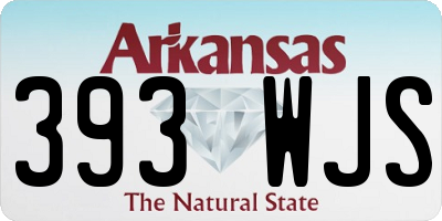 AR license plate 393WJS