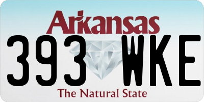 AR license plate 393WKE