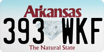 AR license plate 393WKF
