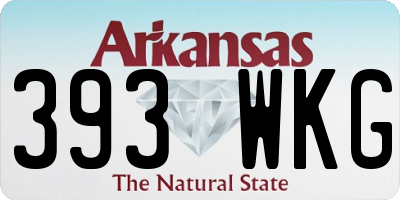 AR license plate 393WKG