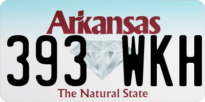 AR license plate 393WKH