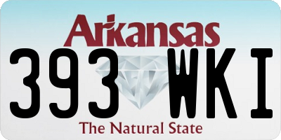 AR license plate 393WKI