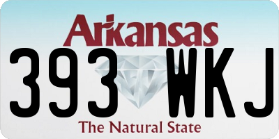 AR license plate 393WKJ
