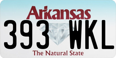 AR license plate 393WKL
