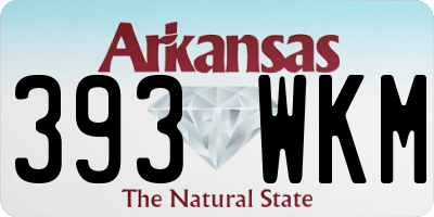 AR license plate 393WKM