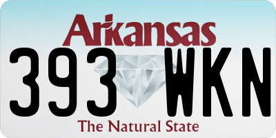 AR license plate 393WKN