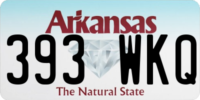 AR license plate 393WKQ