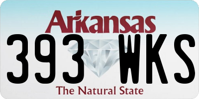 AR license plate 393WKS