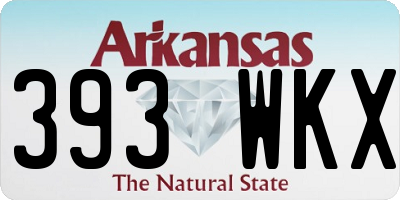 AR license plate 393WKX