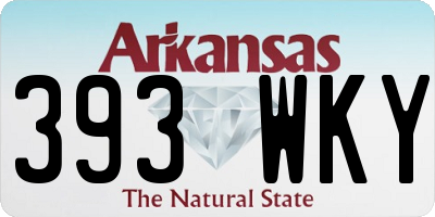 AR license plate 393WKY