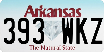 AR license plate 393WKZ