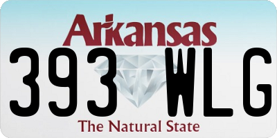 AR license plate 393WLG