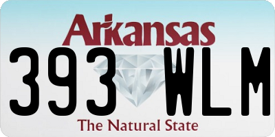 AR license plate 393WLM
