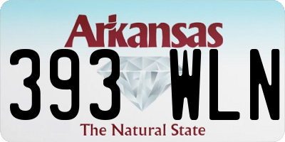AR license plate 393WLN