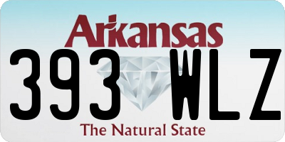 AR license plate 393WLZ