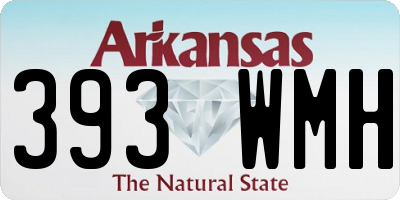 AR license plate 393WMH