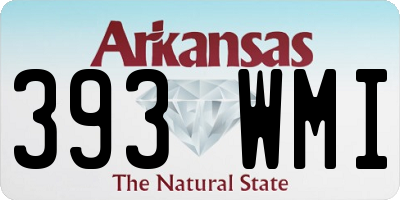 AR license plate 393WMI