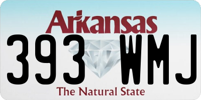 AR license plate 393WMJ