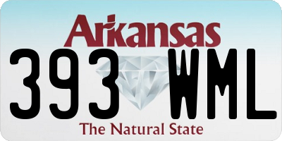 AR license plate 393WML