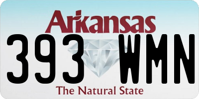 AR license plate 393WMN