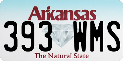 AR license plate 393WMS