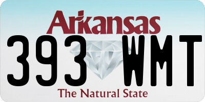 AR license plate 393WMT