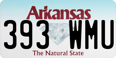 AR license plate 393WMU