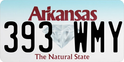 AR license plate 393WMY