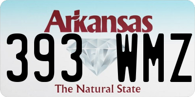 AR license plate 393WMZ