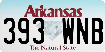 AR license plate 393WNB