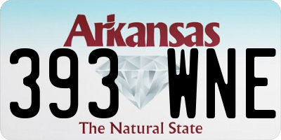 AR license plate 393WNE