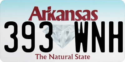 AR license plate 393WNH