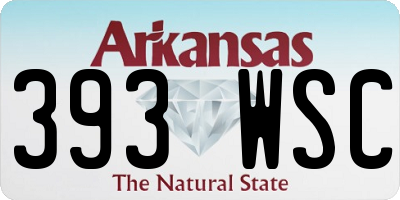 AR license plate 393WSC