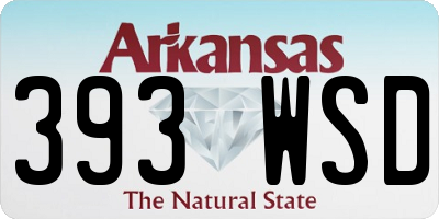 AR license plate 393WSD