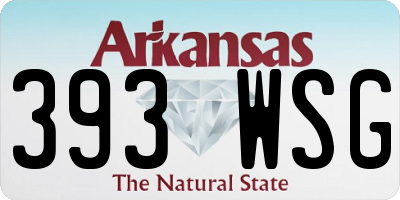AR license plate 393WSG