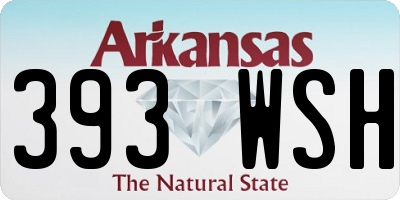 AR license plate 393WSH