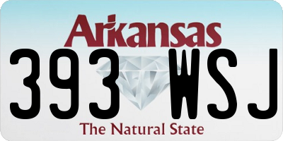 AR license plate 393WSJ