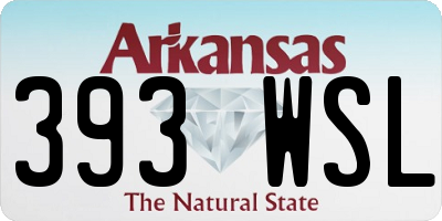 AR license plate 393WSL