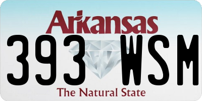 AR license plate 393WSM