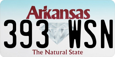 AR license plate 393WSN