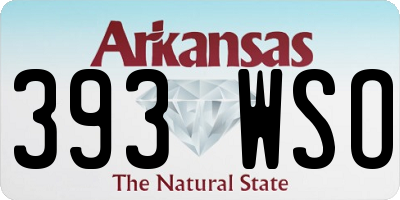 AR license plate 393WSO