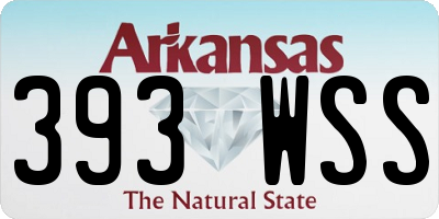 AR license plate 393WSS
