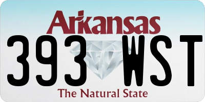 AR license plate 393WST