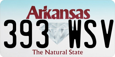 AR license plate 393WSV