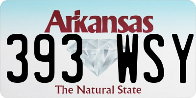 AR license plate 393WSY