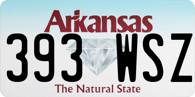 AR license plate 393WSZ