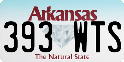 AR license plate 393WTS