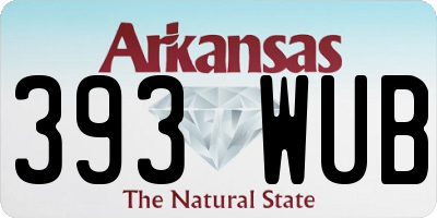 AR license plate 393WUB