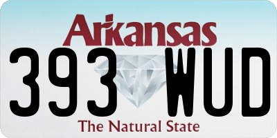 AR license plate 393WUD